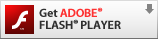 Flash�v���[���[�̎擾