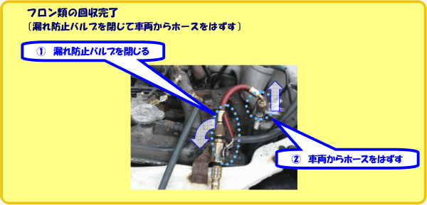 �t�����ނ̉������