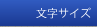 �����T�C�Y